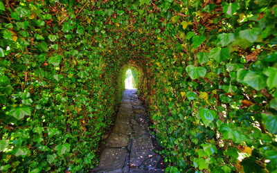 Villa Portole Uno: Garden