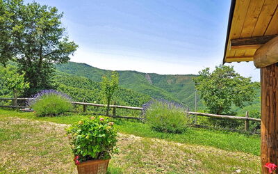 Villa Margherita Uno: Garden