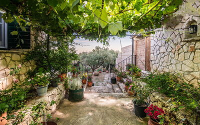 Villa Artemisia: Jardin