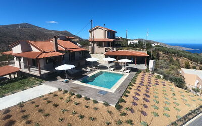 Villa Star: Buitenkanten, zwembad