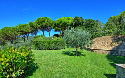 Villa le Murate: Giardino