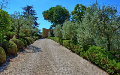 Villa le Murate: Giardino