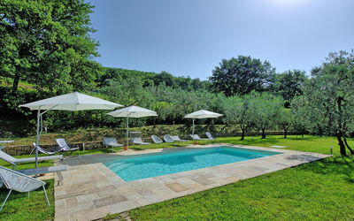 Villa Morandi: bassin, Jardin