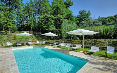 Villa Morandi: bassin