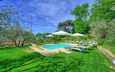 Villa Morandi: bassin