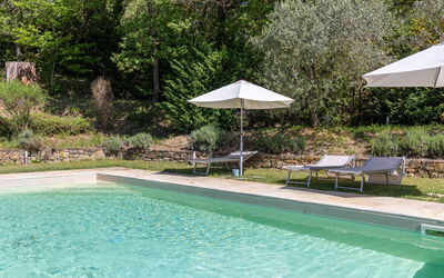 Villa Morandi: all'aperto, Piscina