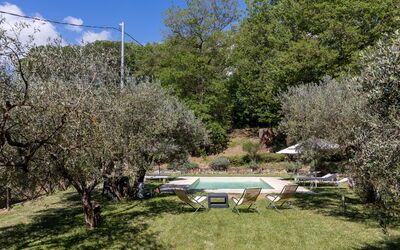 Villa Morandi: all'aperto, Giardino, Piscina