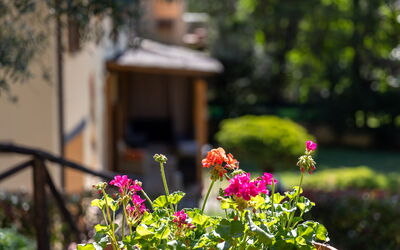 Villa Morandi: all'aperto, Giardino