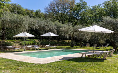 Villa Morandi: all'aperto, Giardino, Piscina