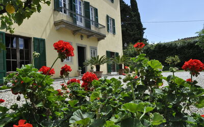 Villa Pedone: Buitenkanten, Buitenshuis, Tuin
