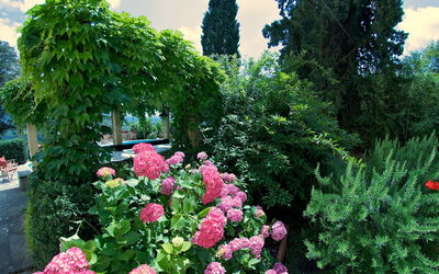 Villa Pedone: Buitenshuis, Tuin