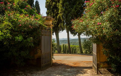 Villa Pedone: Buitenshuis, Hoofdingang, Tuin