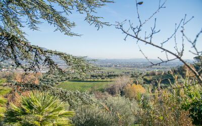 Villa Pedone: Buitenshuis