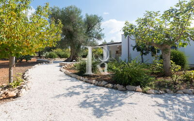 Trullo Acquamarina - Favola dei Trulli