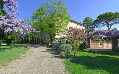 Villa Pietro: Garden