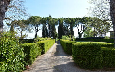 Villa Pietro: Garden