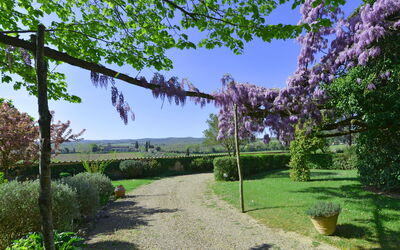 Villa Pietro: Garden
