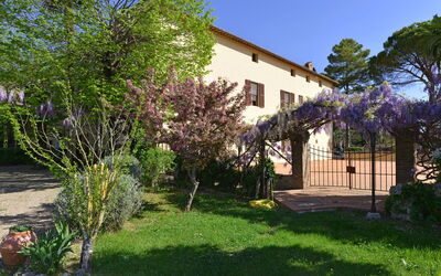 Villa Pietro: Garden