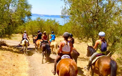 Appartamenti dei Gigli