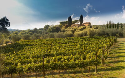 Villa Poggiospinoso: Vues