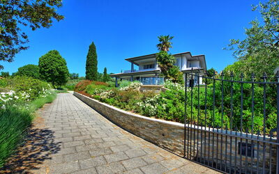 Casa White: all'aperto, Giardino