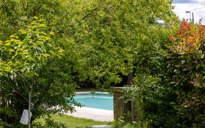 Casale Tiziano: all'aperto, Esterni, Giardino, Piscina