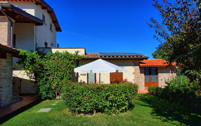 Casale Tiziano: Giardino