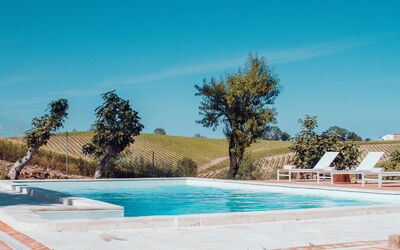 Villa Fonte Ancona: bassin, Extérieur