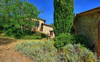 Villa Sarteano: Esterni, Giardino