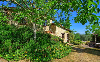 Villa Sarteano: Giardino