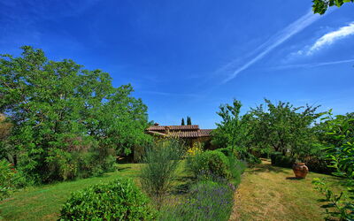 Villa Sarteano: Giardino