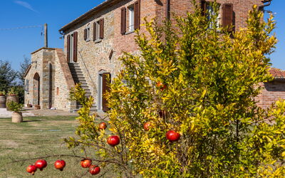 Villa dei Vini: Buitenkanten, Buitenshuis, Tuin