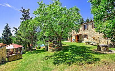 Villa Luciano: Giardino