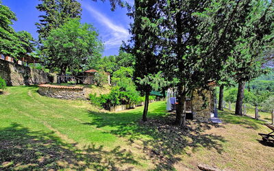 Villa Luciano: Giardino