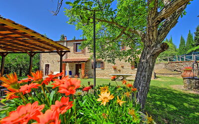 Villa Luciano: Giardino