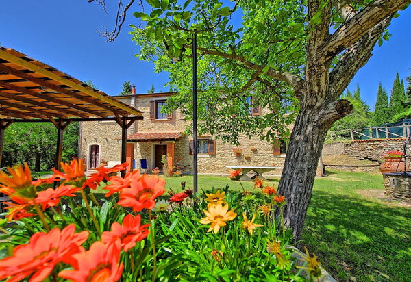 Villa Luciano: Garden