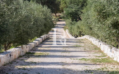 Villa Badessa Sleeps 6