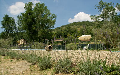 La Damigiana: Buitenshuis, zwembad