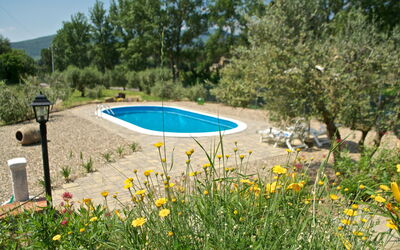 La Damigiana: zwembad