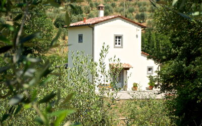 La Damigiana: Buitenkanten, Buitenshuis