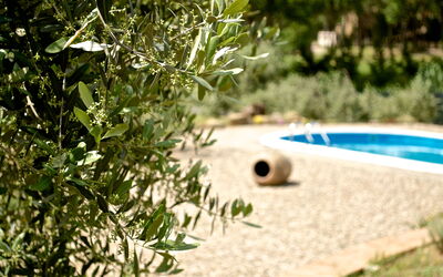 La Damigiana: Keer bekeken