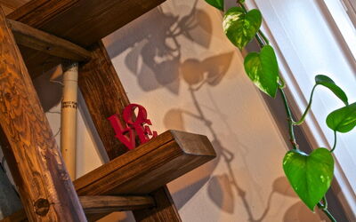 La Damigiana: Kamer details