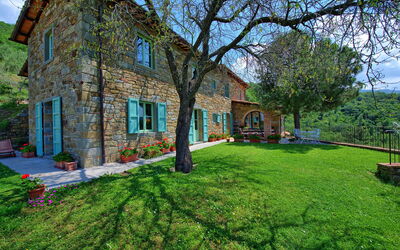 Villa Noceta: Garden, Outdoor