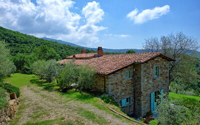 Villa Noceta: Outdoor