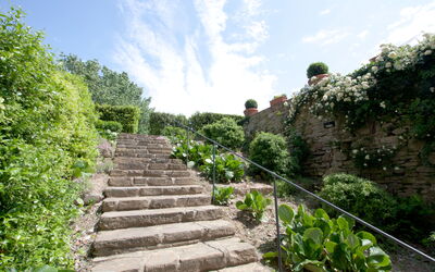 Santa Flora: Garden, Outdoor