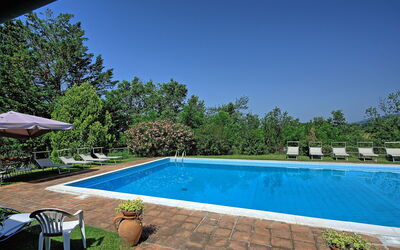 Villa Poggetta: bassin
