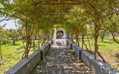 Masseria Abbracciavento