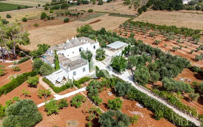 Trullo Agapanto
