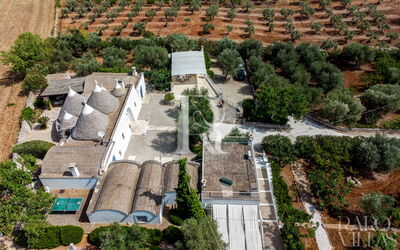 Trullo Agapanto