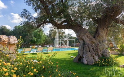 Lamia Vite - Favola dei Trulli